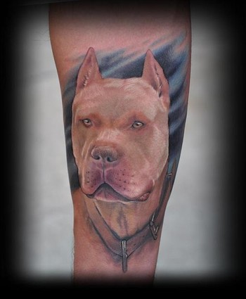 Looking for unique Carlos Lopez Tattoos?  pitbull